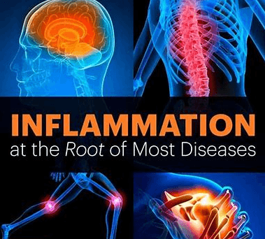 Stop Inflammation the Destroyer of Health!