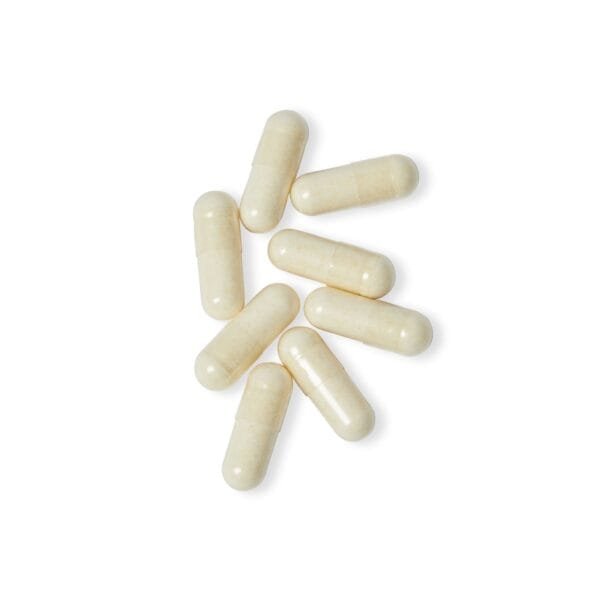 Probiotic Powerhouse Supplement - Image 5