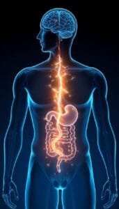gut-skin axis